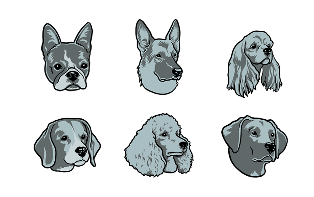 twombly-NGM-Dogbreeds-illo.png