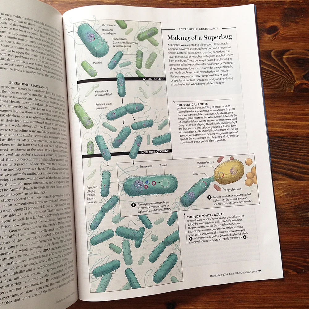 twombly-SciAm-antibiotics-page.jpg