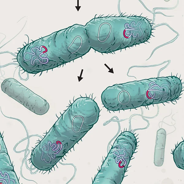 twombly-SciAm-antibiotics-thumb2.jpg