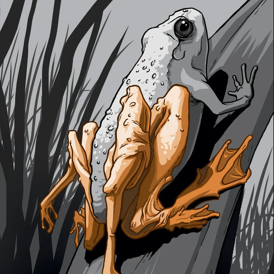 Mindsuckers-frog-thumb.jpg