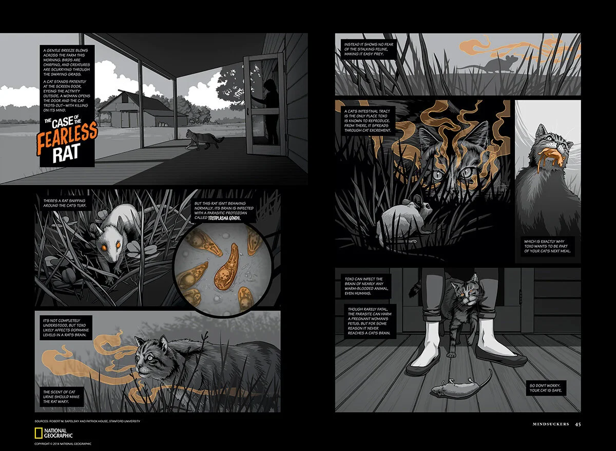 Mindsuckers-toxo-s.jpg
