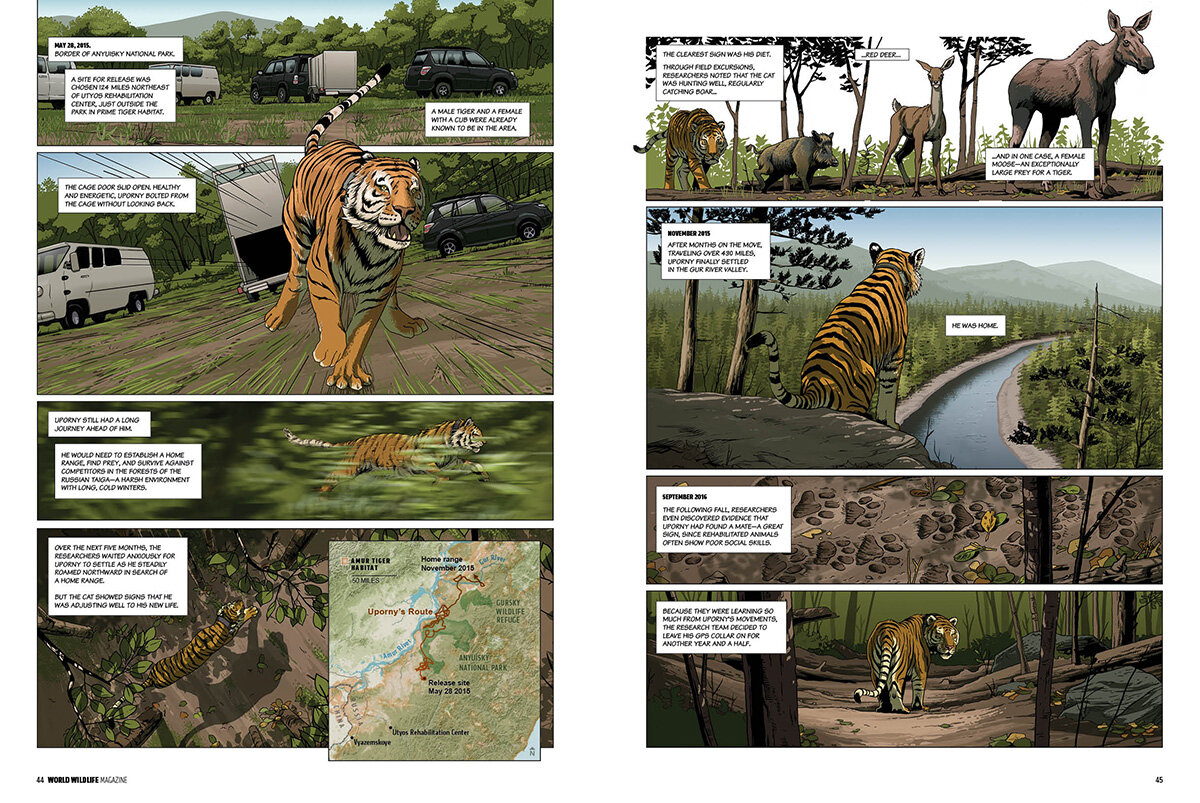 WWF_Uporny_spread3.jpg