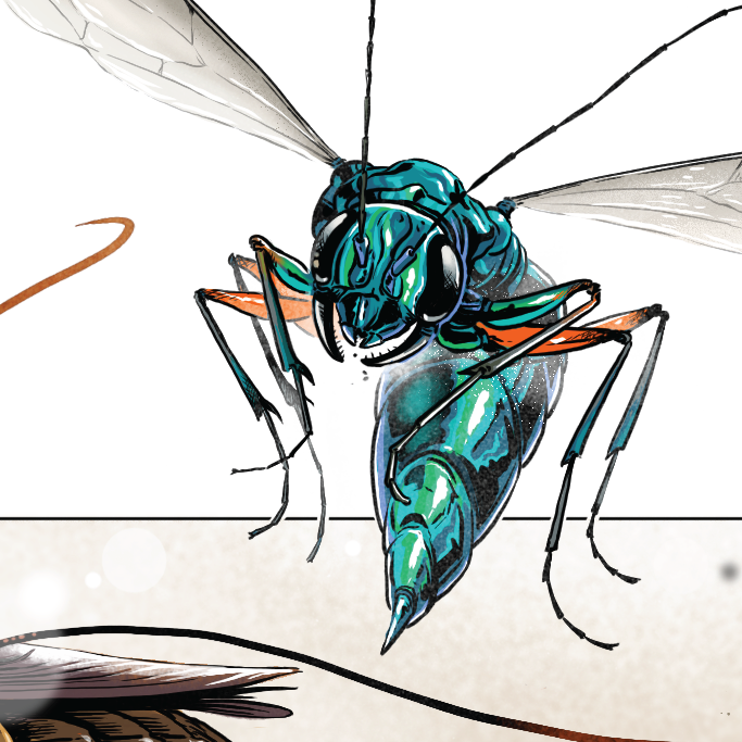 Twombly-SciAm_JewelWasp_thumb.png