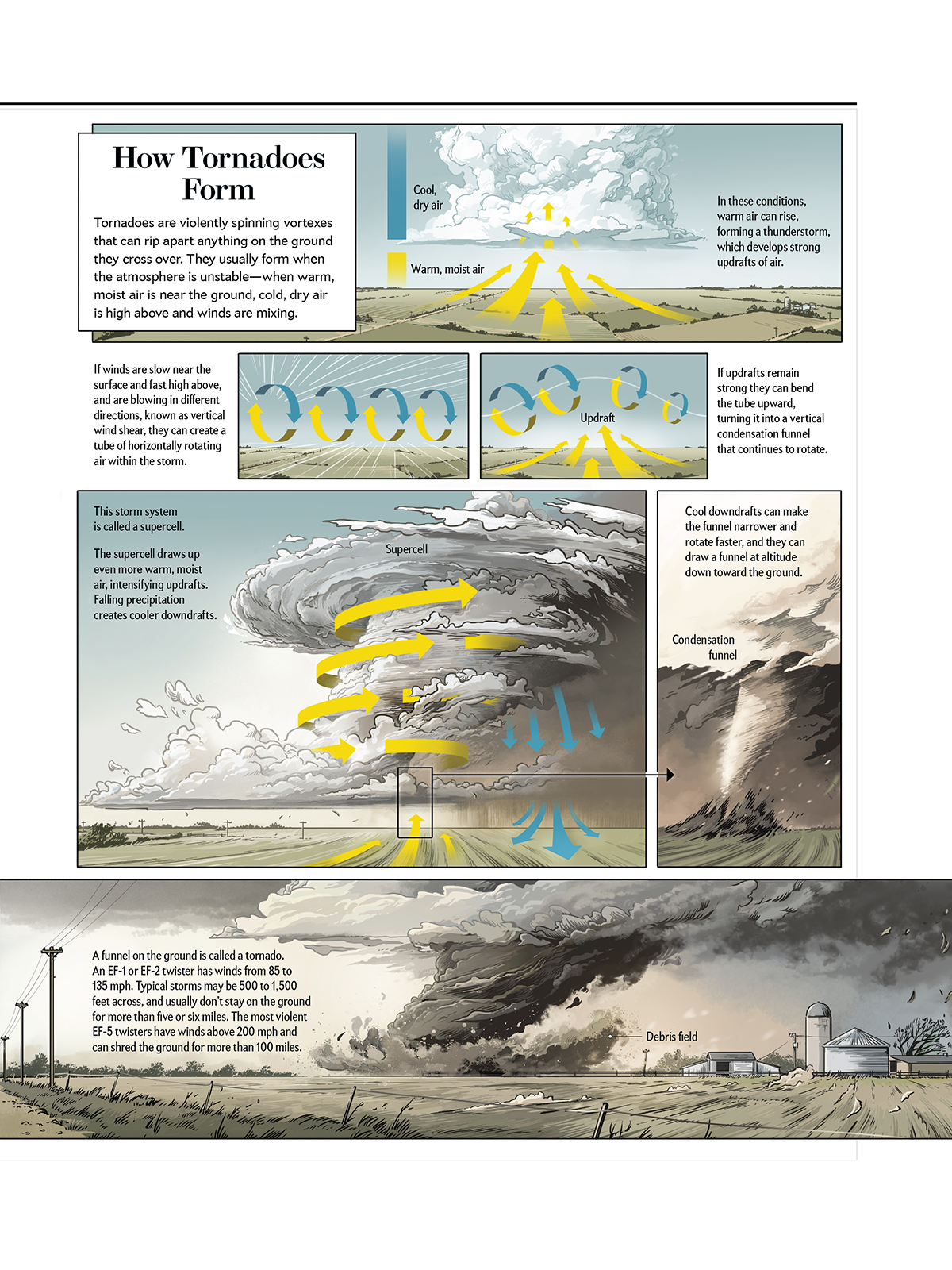 twombly-SciAm-Tornado.png