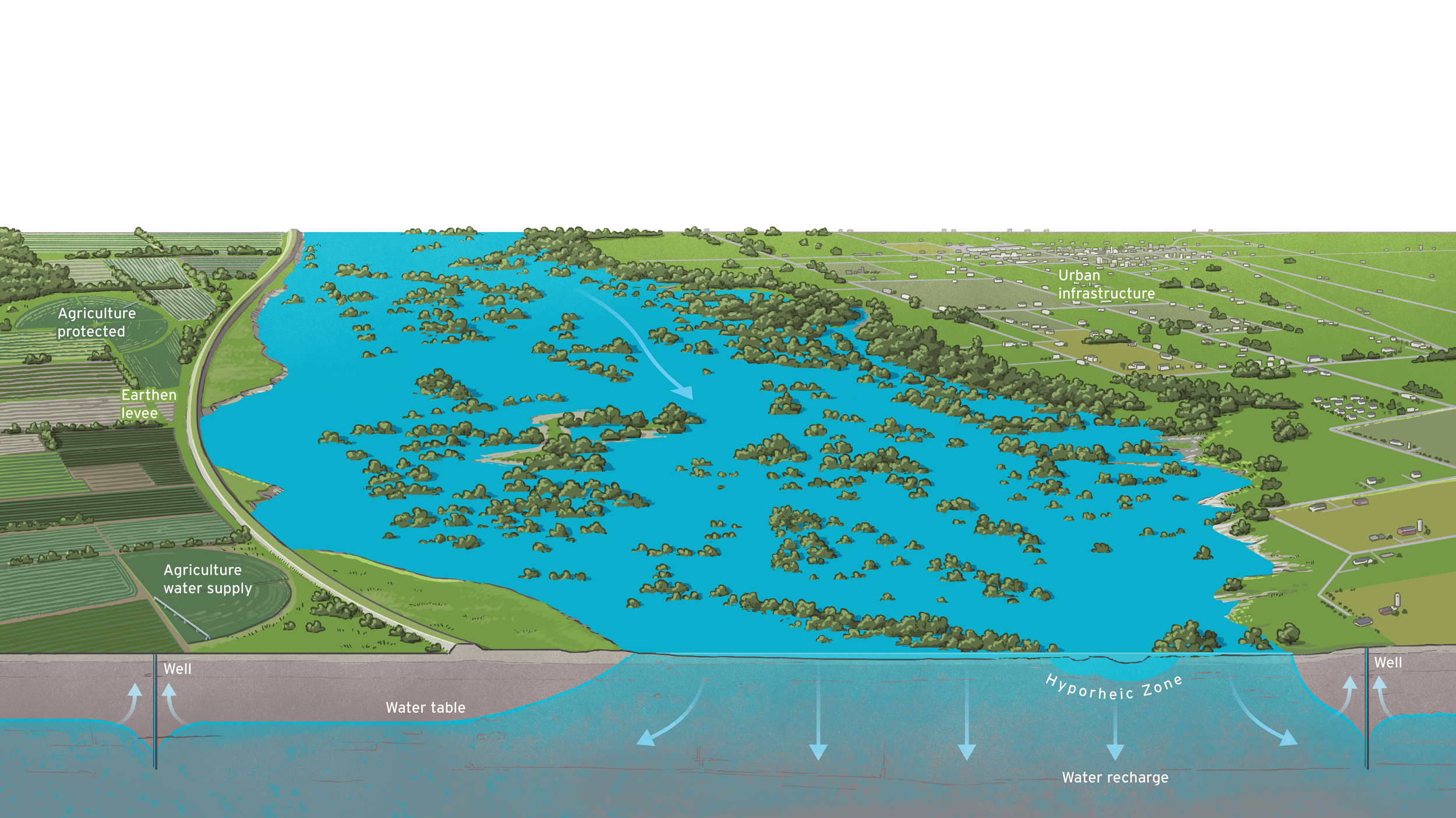 AmerRiv_2_Floodplain-02.png