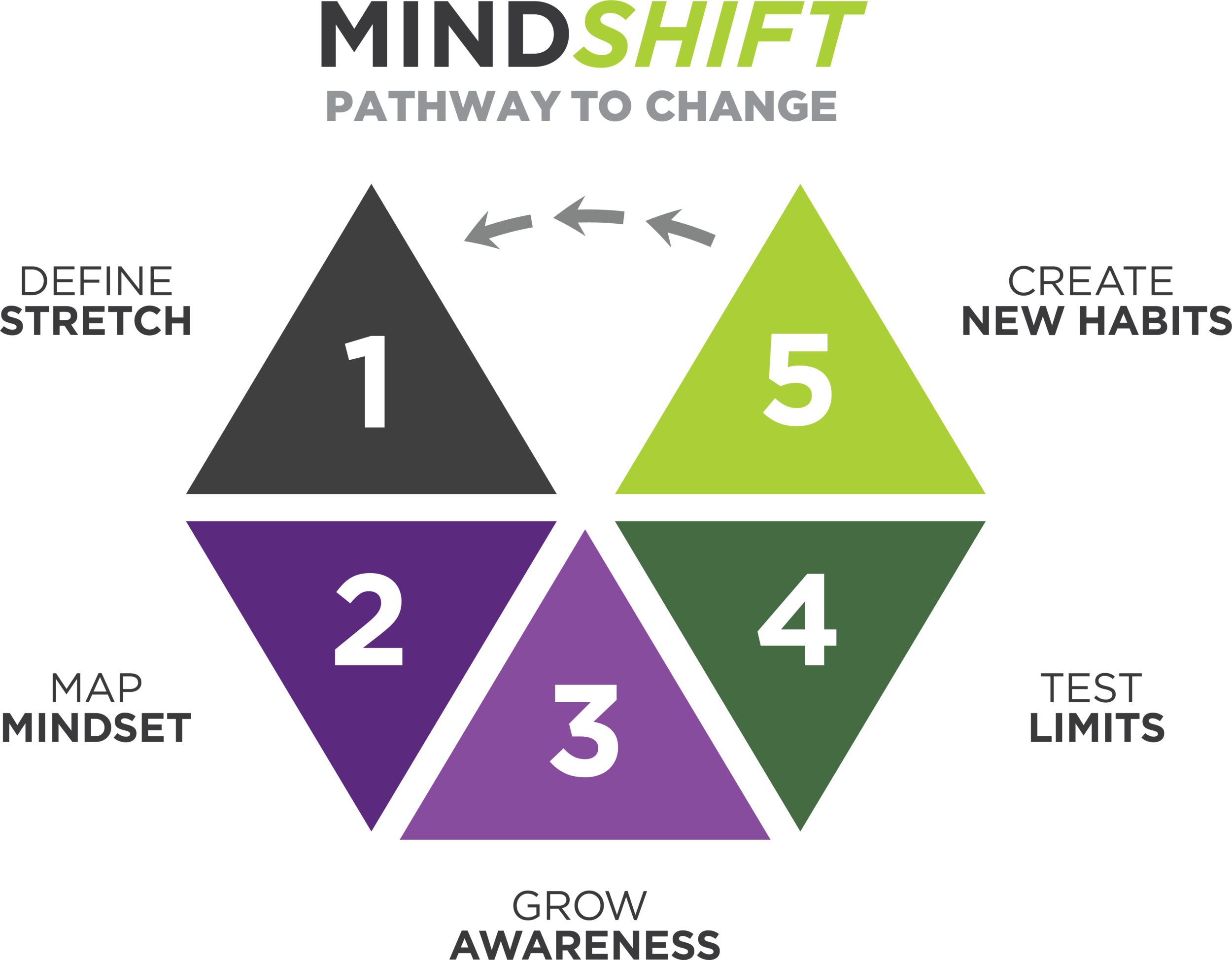 mindshift-hexagon-TITLE.png