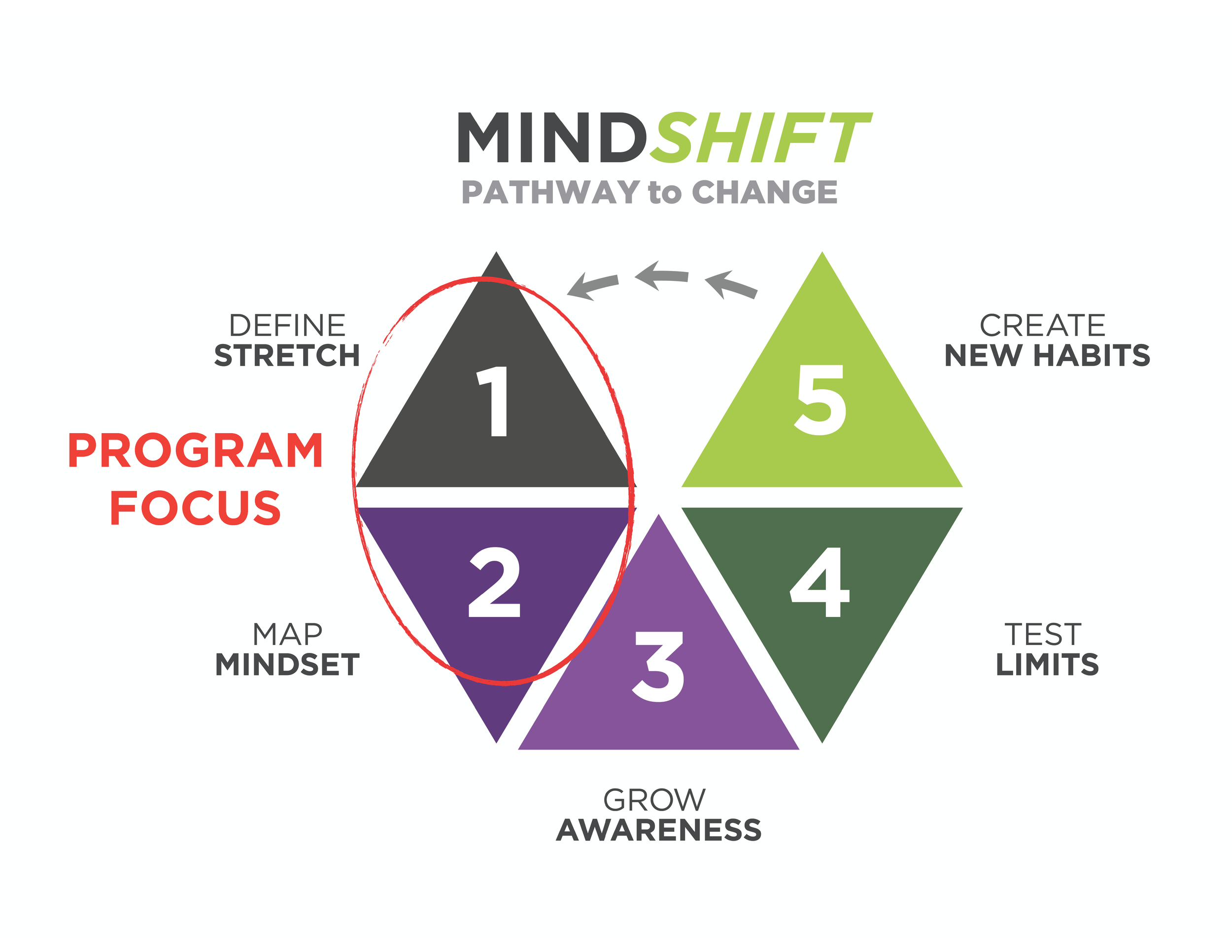 webpage-intro to mindshift visual.png