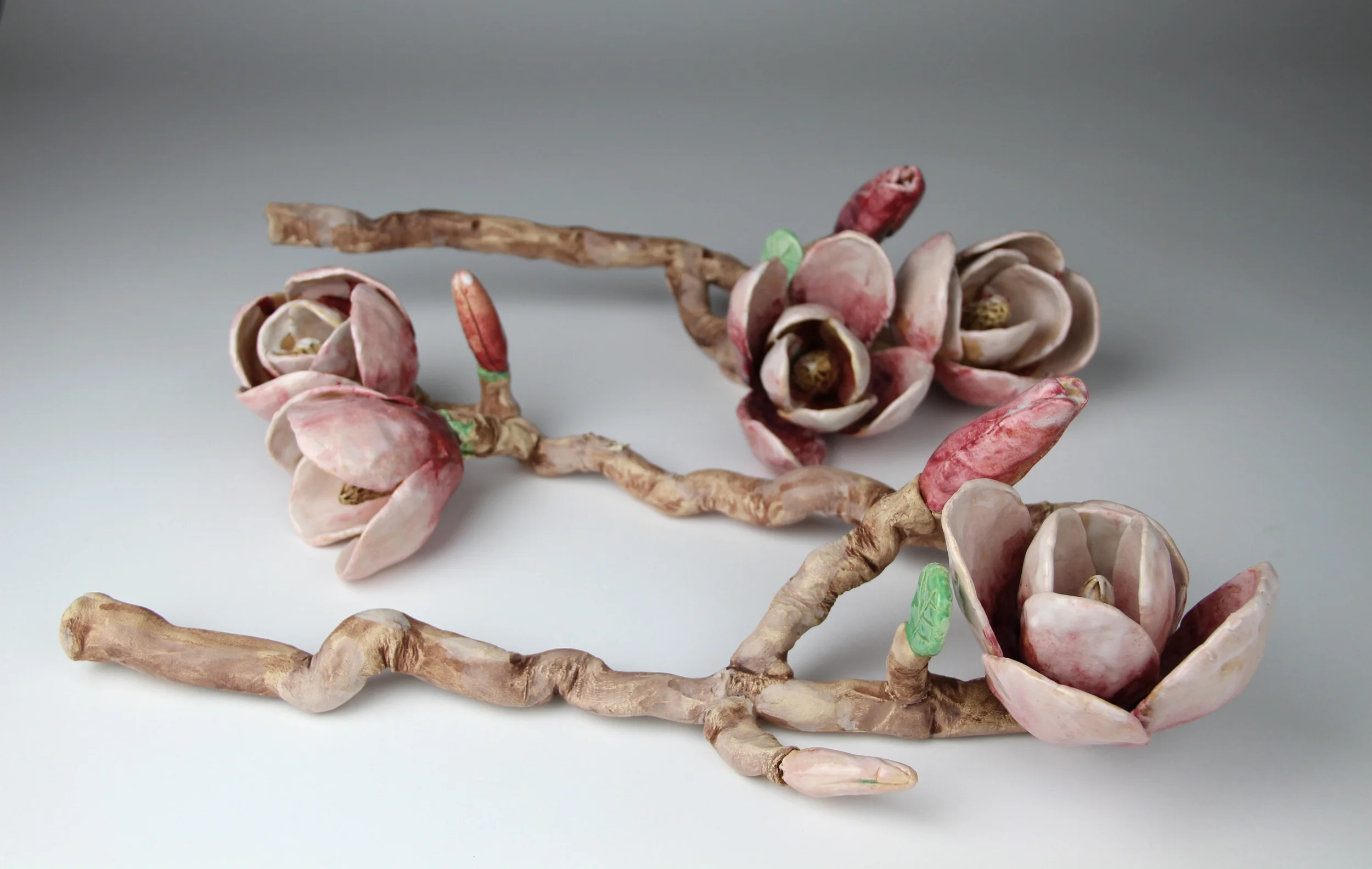 Elegy for the Room by the Magnolia