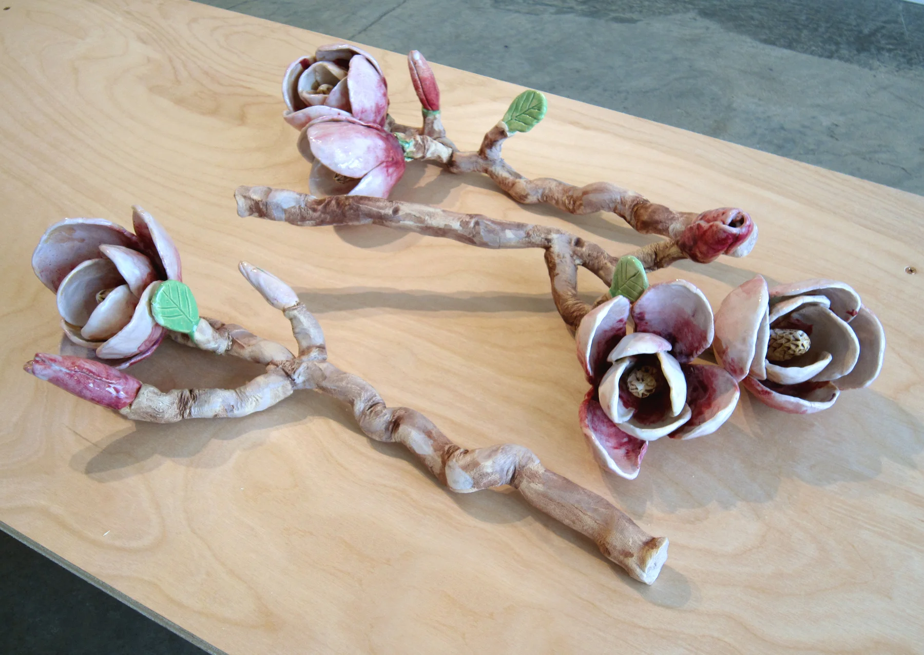 Elegy for the Room by the Magnolia (installation shot)