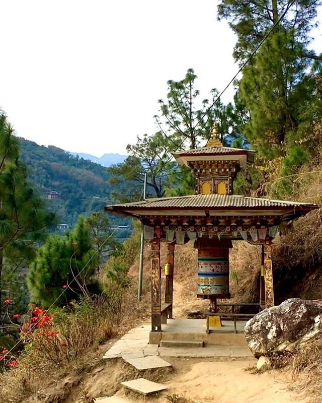 Bhutan latergram 🇧🇹 video portraits.
.
Prayer wheels, prayer flags, Tiger&rsquo;s nest, hikes, mountains, monks, dogs, textiles and beauty. (with a kinetic sculpture in Singapore on the way home).