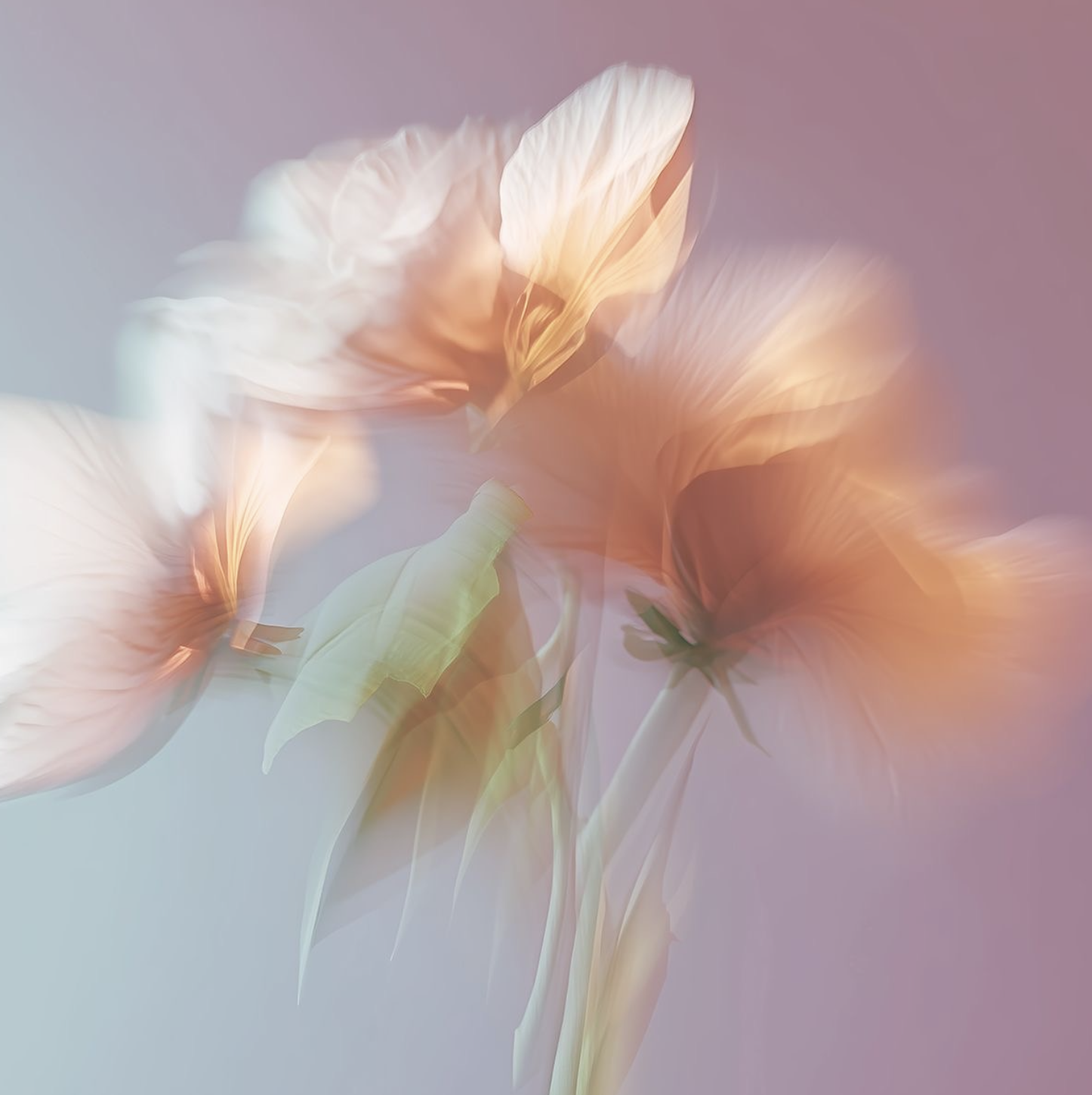 Screenshot 2025-12-11 at 10.01.05 PM.png