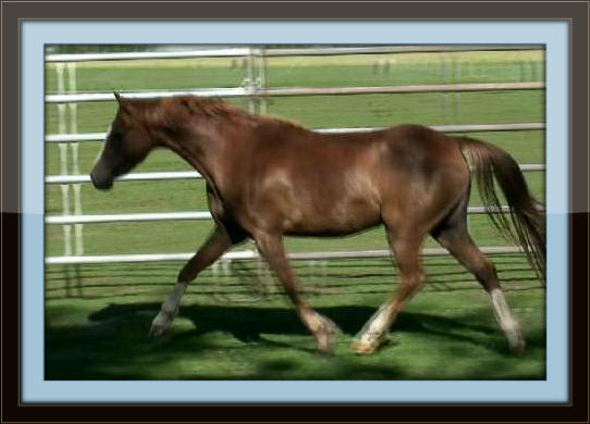 snapshot_033_Copy_with_border.jpg