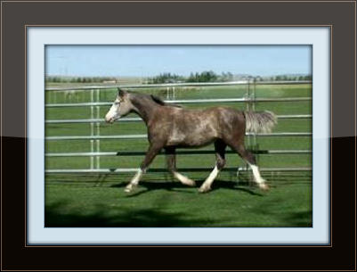 snapshot_004_Copy_with_border.jpg