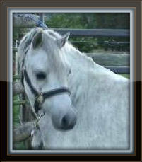 snapshot_001_Copy_with_border.jpg