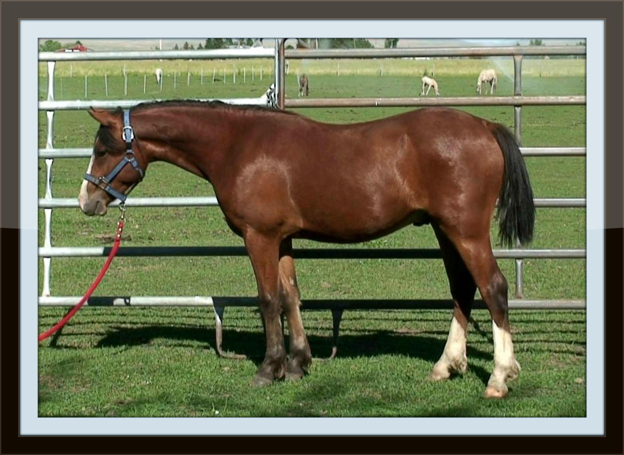 snapshot_006_Copy_with_border.jpg