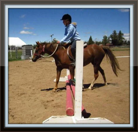 IMG_0324_Copy_with_border.jpg