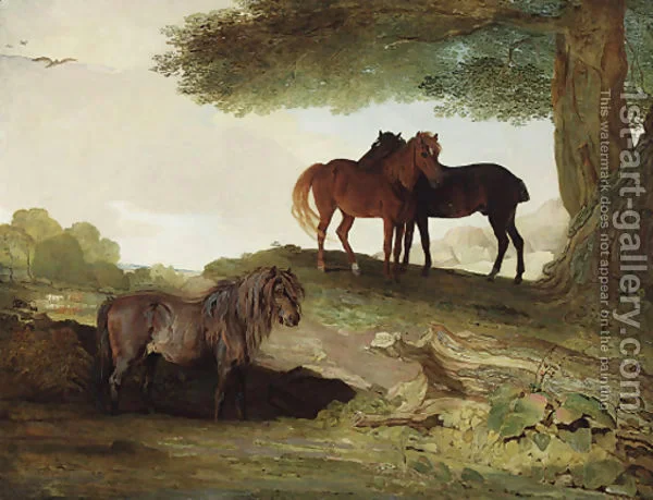 Ponies-A-Shetland-Pony,-And-Two-Welsh-Ponies-Beneath-A-Tree,-In-A-Landscape.jpg