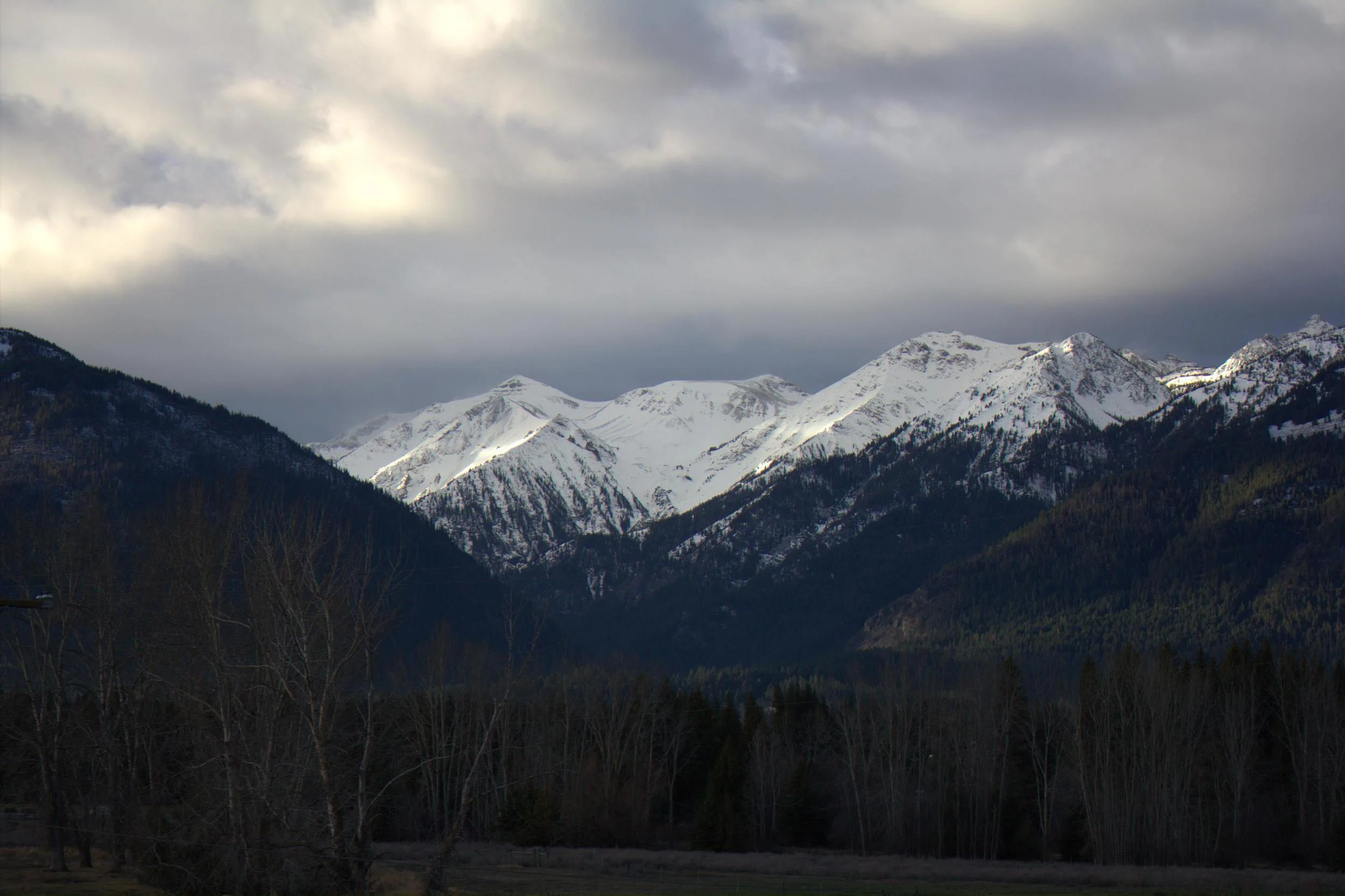 Winter 2014 is here!