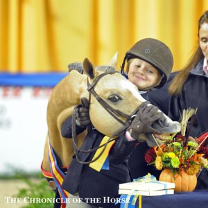 Armani on the cover of Chronical of the Horse