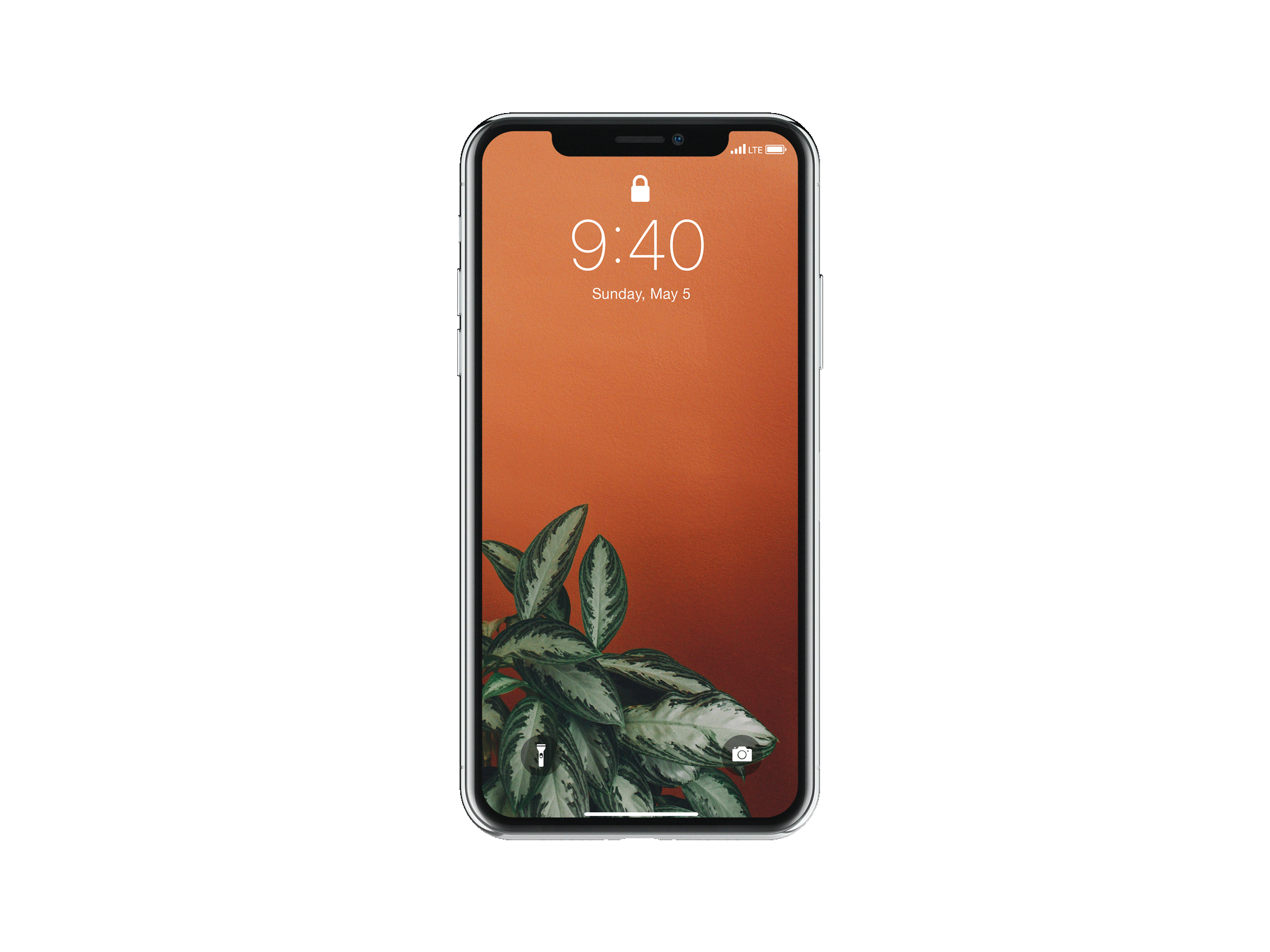 001.gif