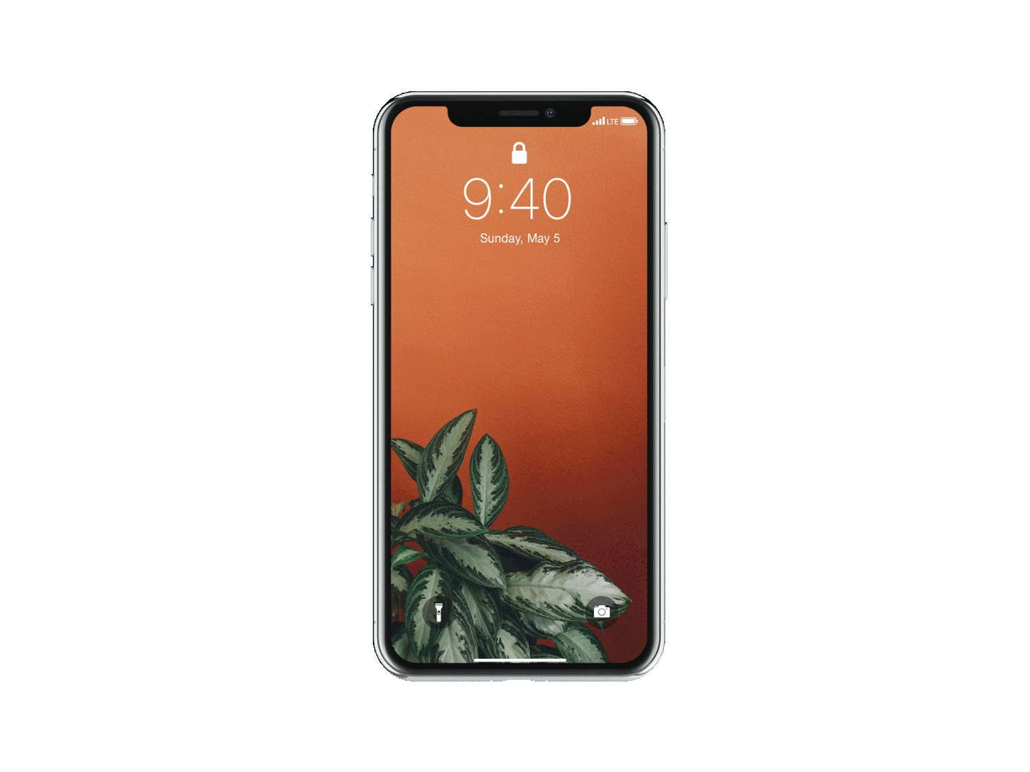 001.gif