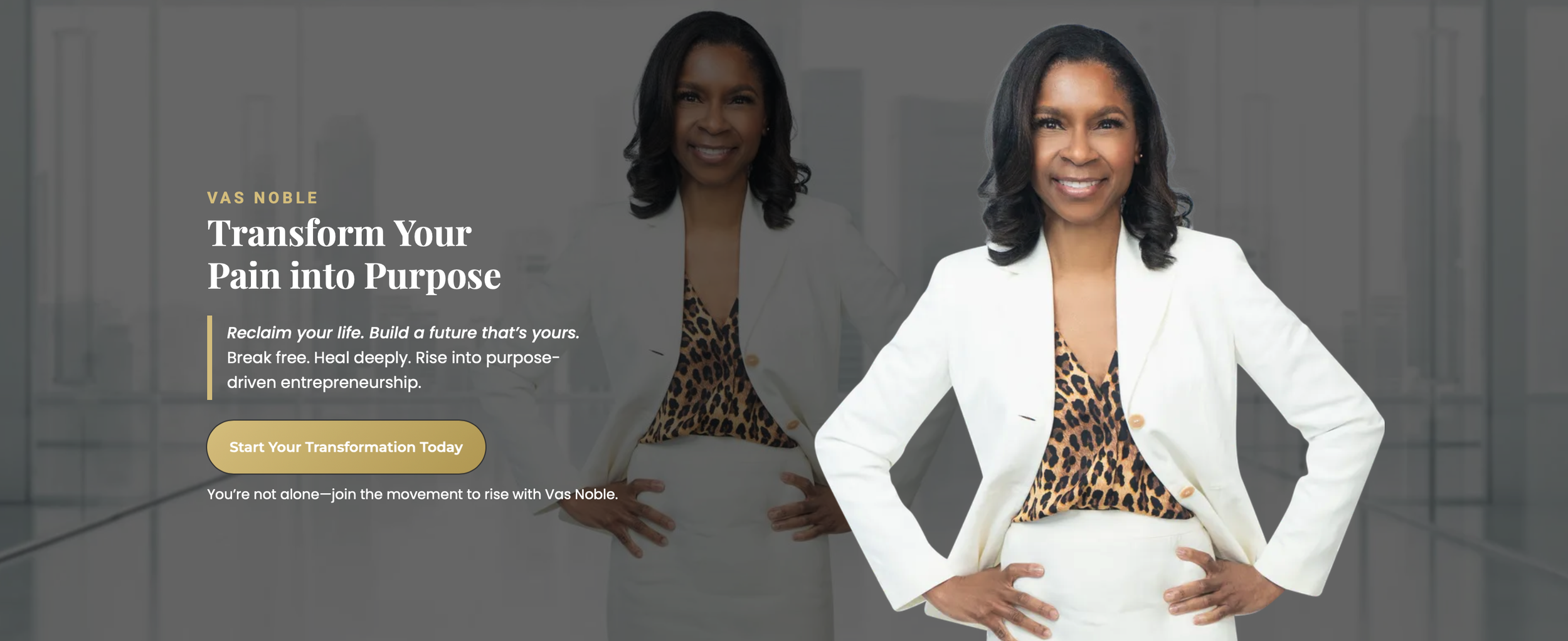 VAS_Website Banner.png