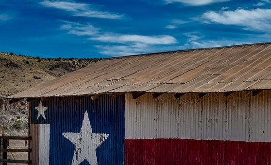 Comparison of the Texas Legislature’s Recommended Budgets