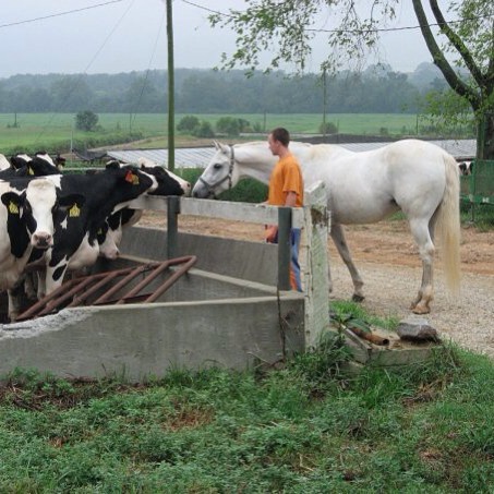There is an incredibly cool program at the James River Correctional Facility that pairs inmates and racehorses and you should check it out. Link in profile. #racehorse #thoroughbred #retiredracehorse #corrections #inmate #racing #feelgoodfriday