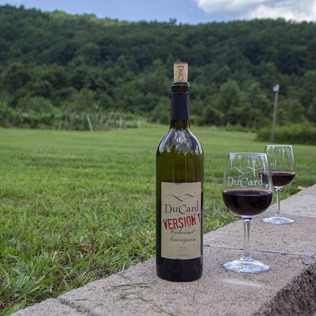 Only in Virginia can one watch Civil War reenactors simultaneously drill and drink fancy wine at a vineyard. Highly recommended. Link in profile. #wine #winetasting #winery #virginiawine #virginia #civilwar #reenactment #reenacting #reenactor #stonewalljackson