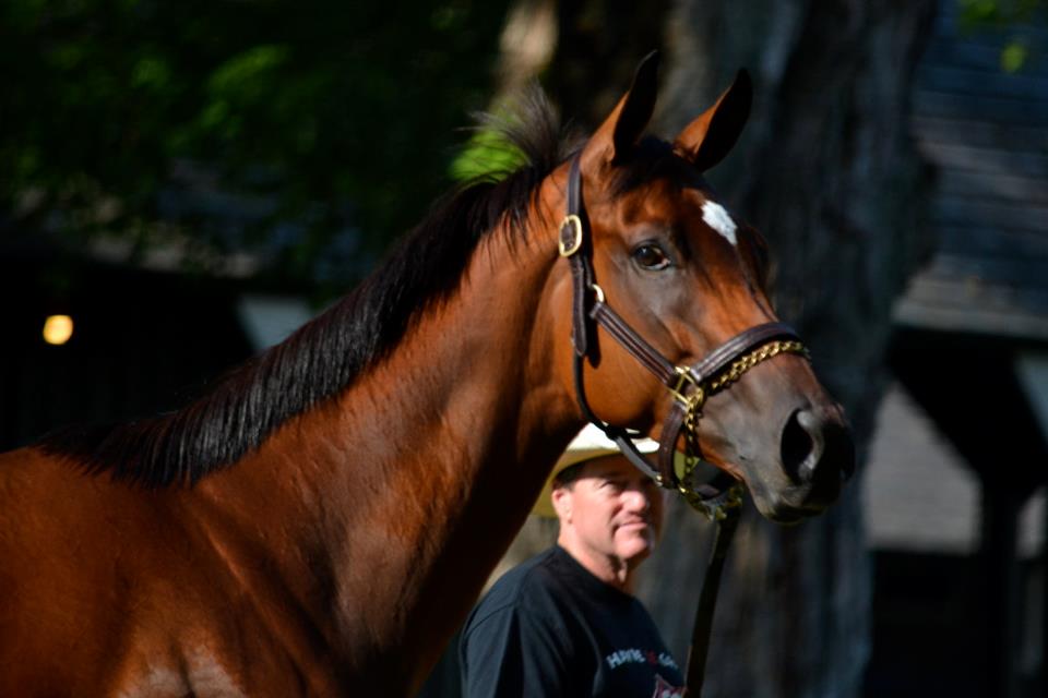 Larry Jones, watching Havre de Grace. 
