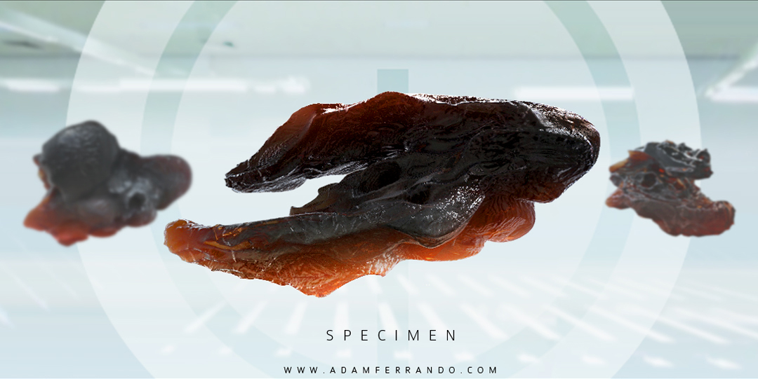 adam_ferrando-specimen.jpg