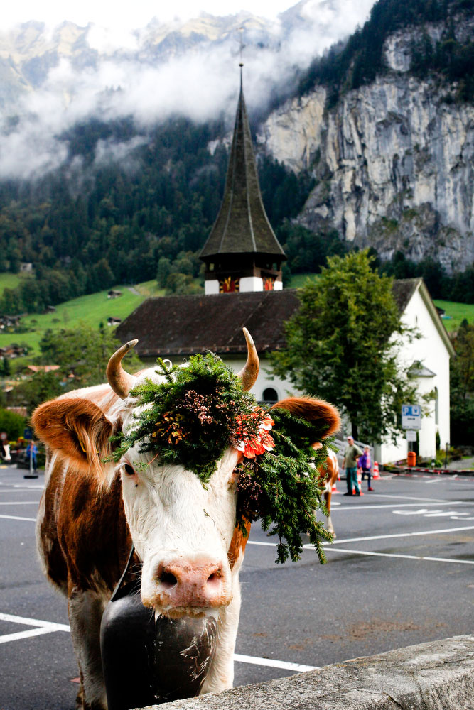Embroidered BOOKMARK SWITZERLAND Swiss Cows Alpine Chalet Mountains UNUSED 