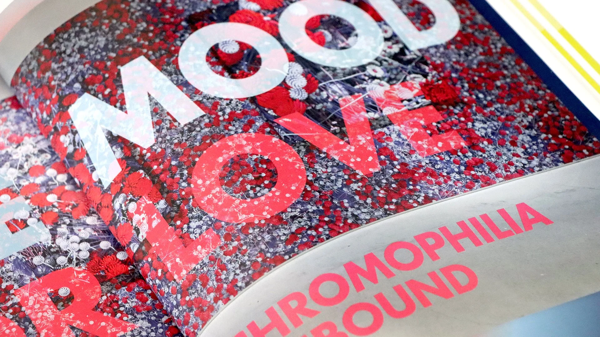 20230519_AM_AD_Long Format_15.jpg