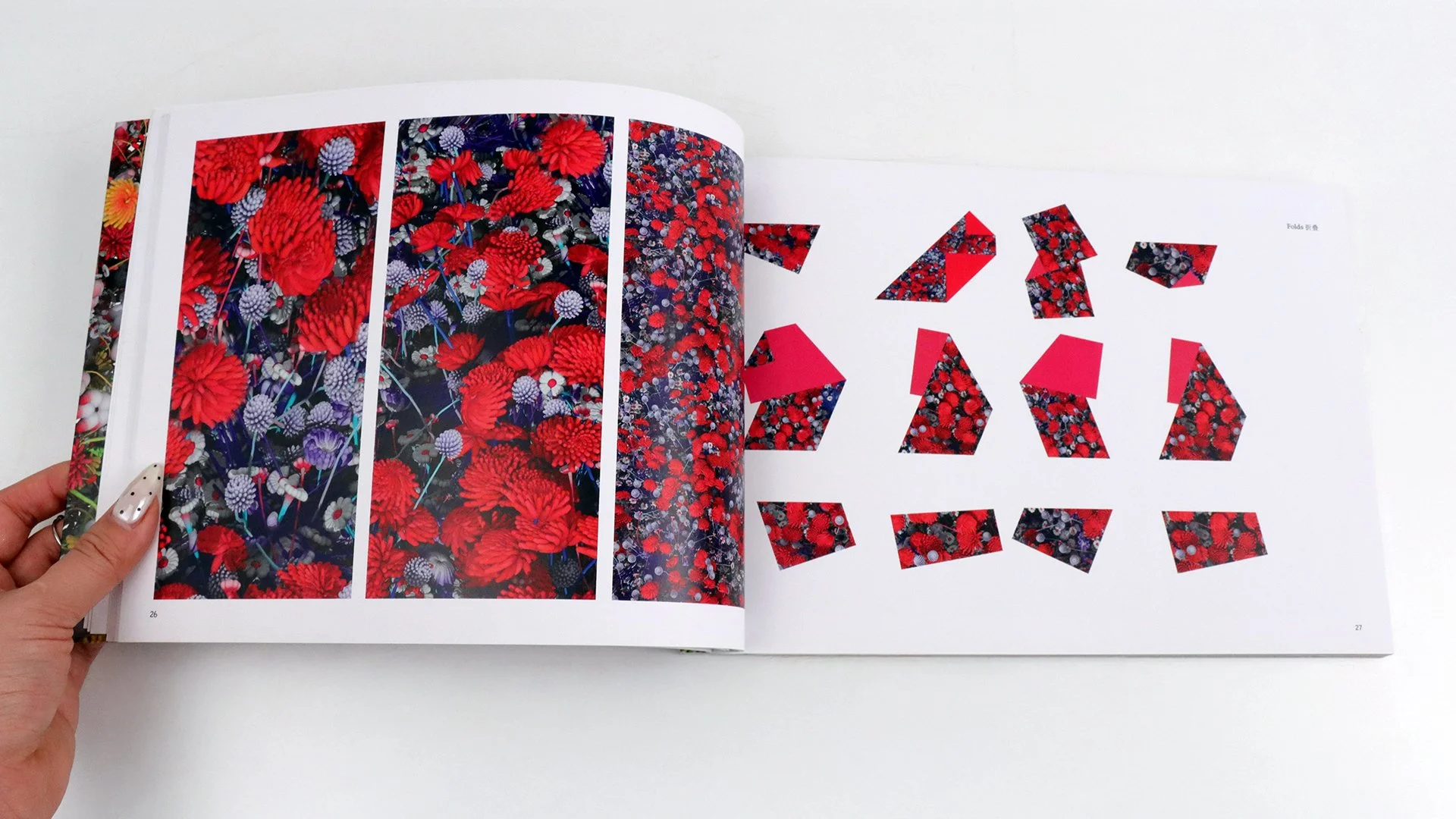 Portraits and Landscapes_widescreen_01.jpg