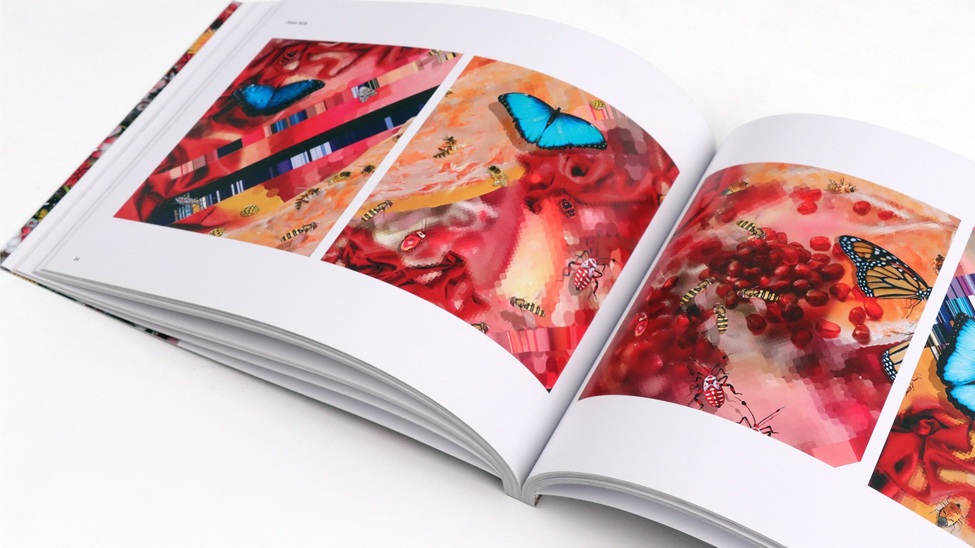 Portraits and Landscapes_widescreen_04.jpg