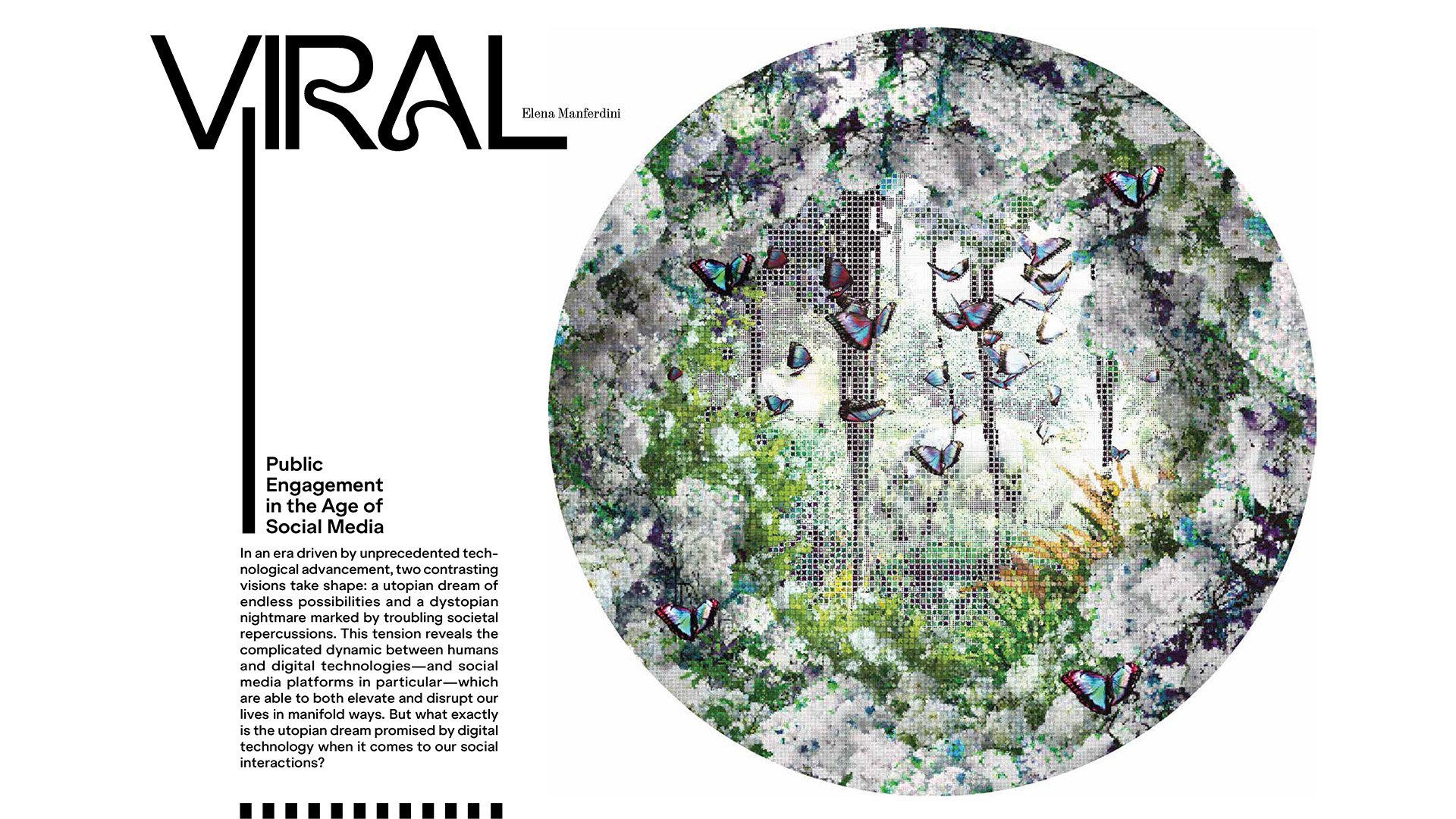 Chimera website_001.jpg