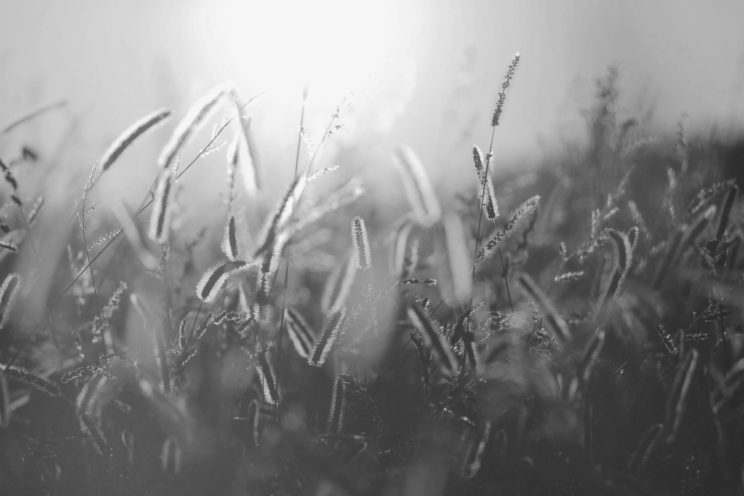 unsplash-image-uQN9KaPTeI4.jpg