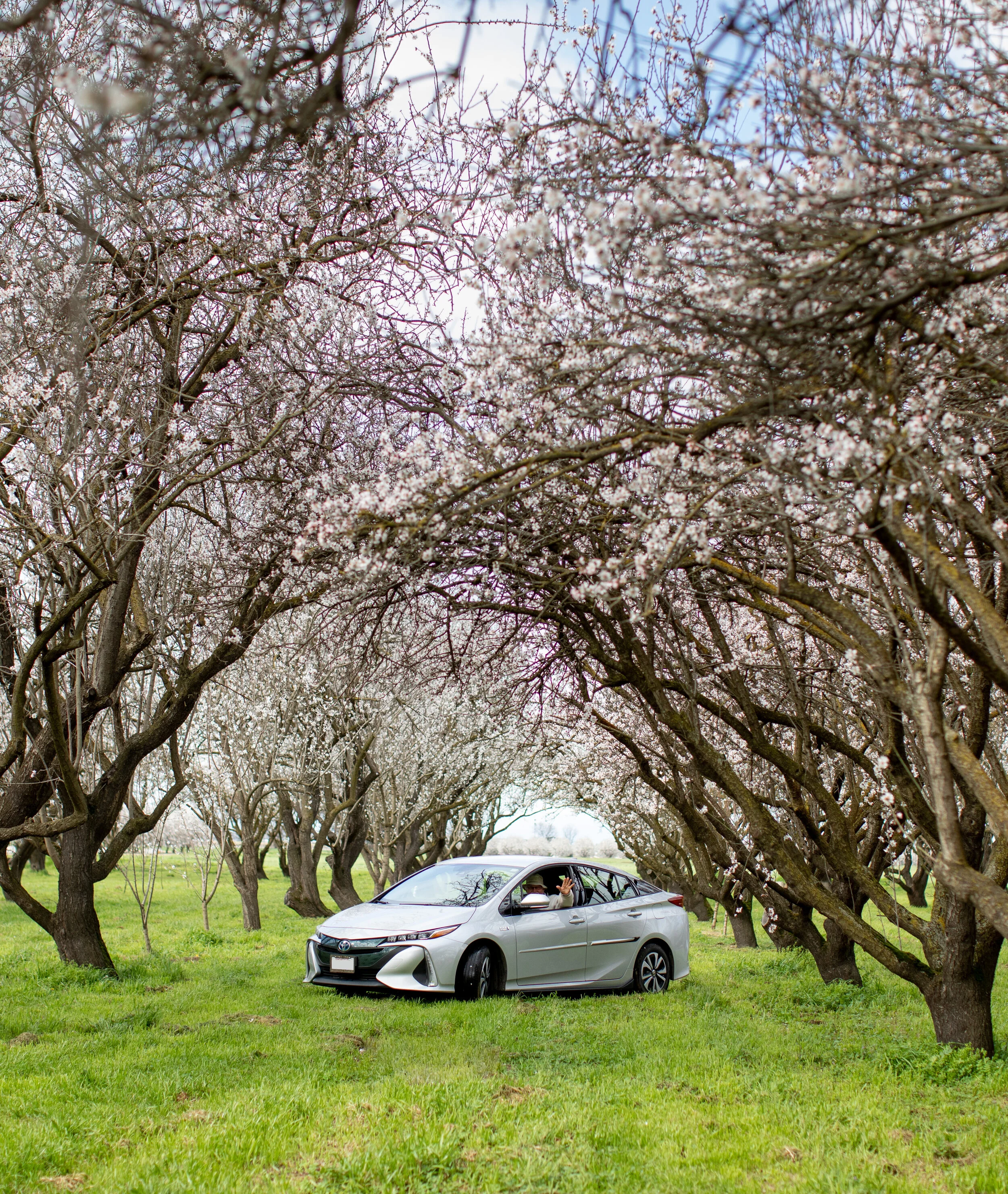 Glenn Anderson driving through the Anderson Almonds orchard