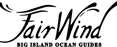 fair-wind-logo-495x200.png