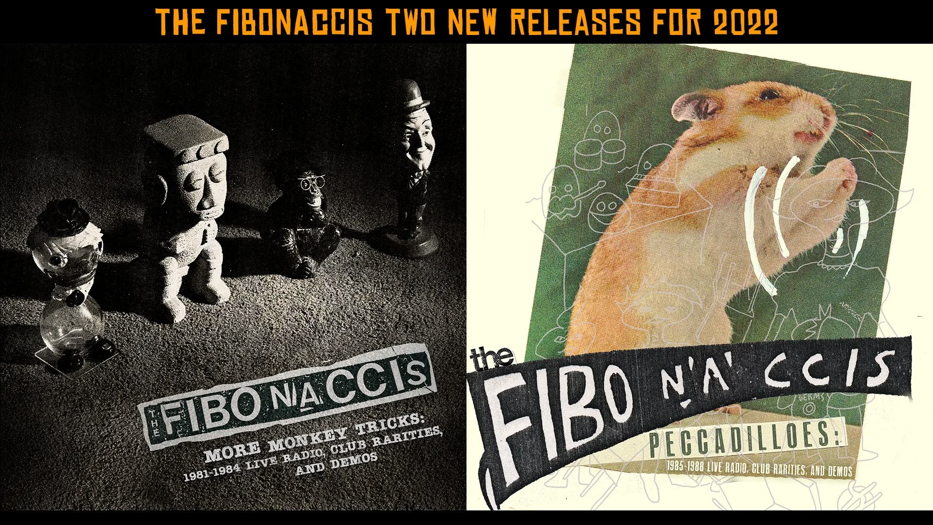 Preview: The Fibonaccis Raree Show 2022