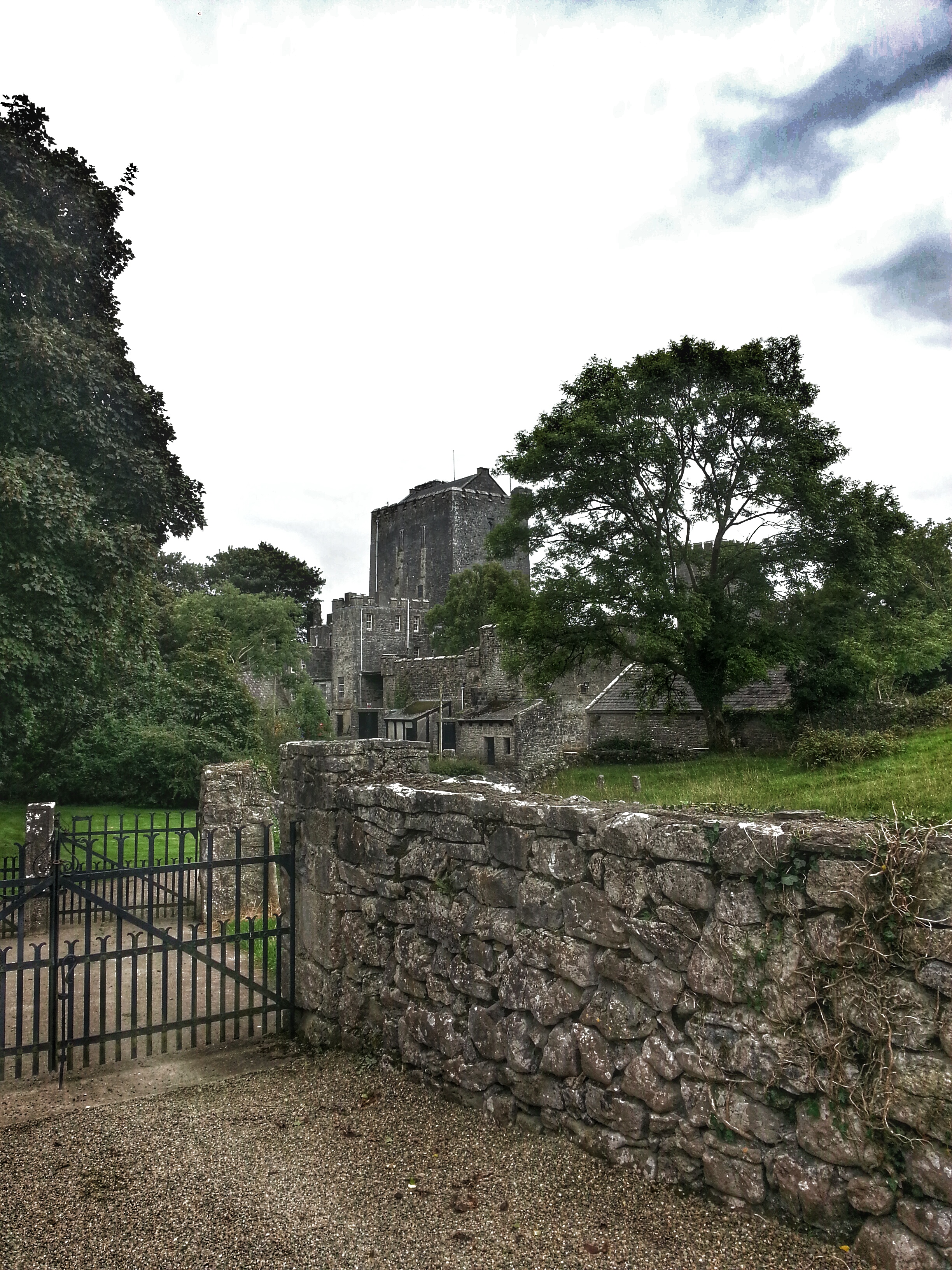 The castle 