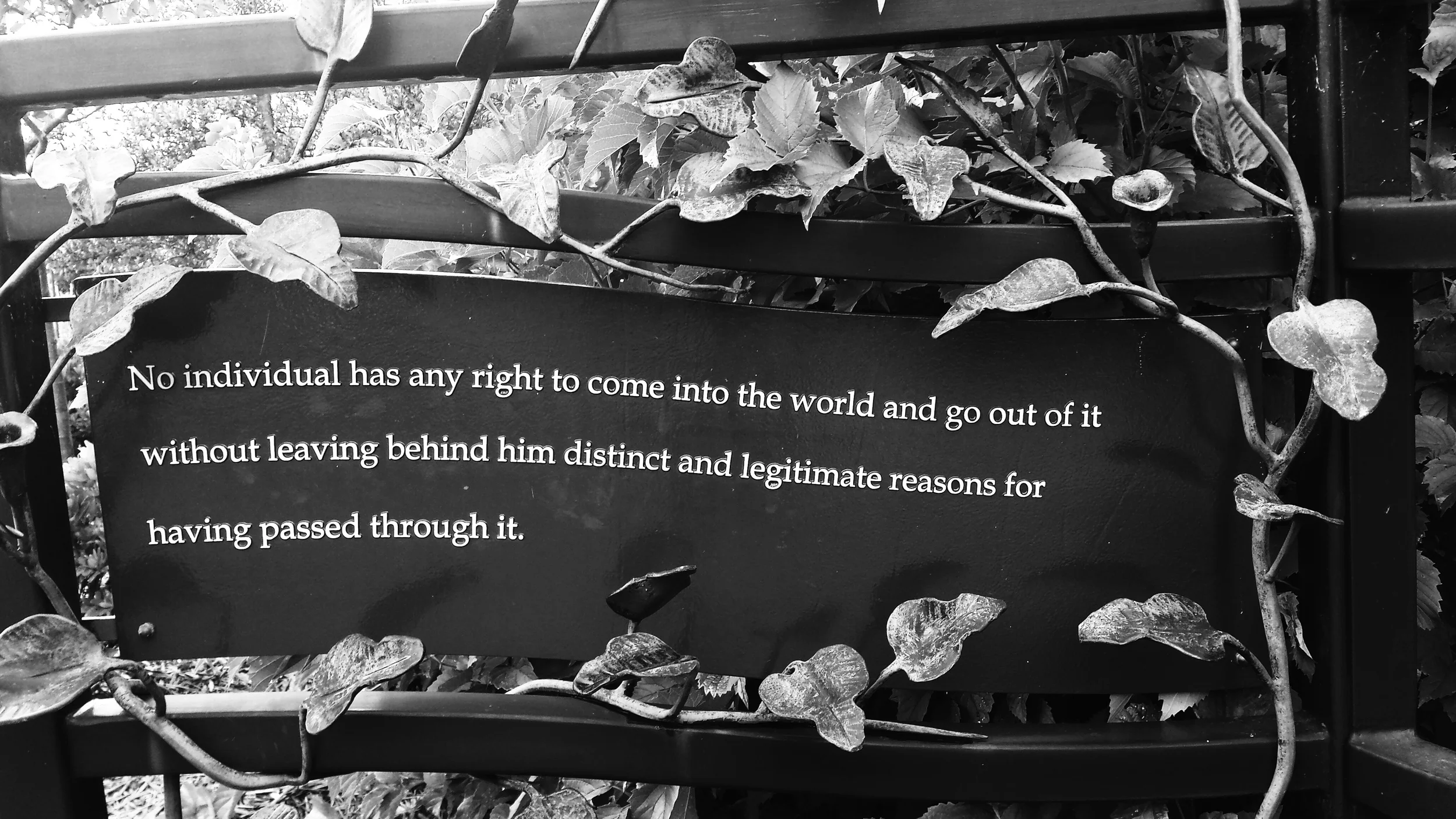 Love this quote