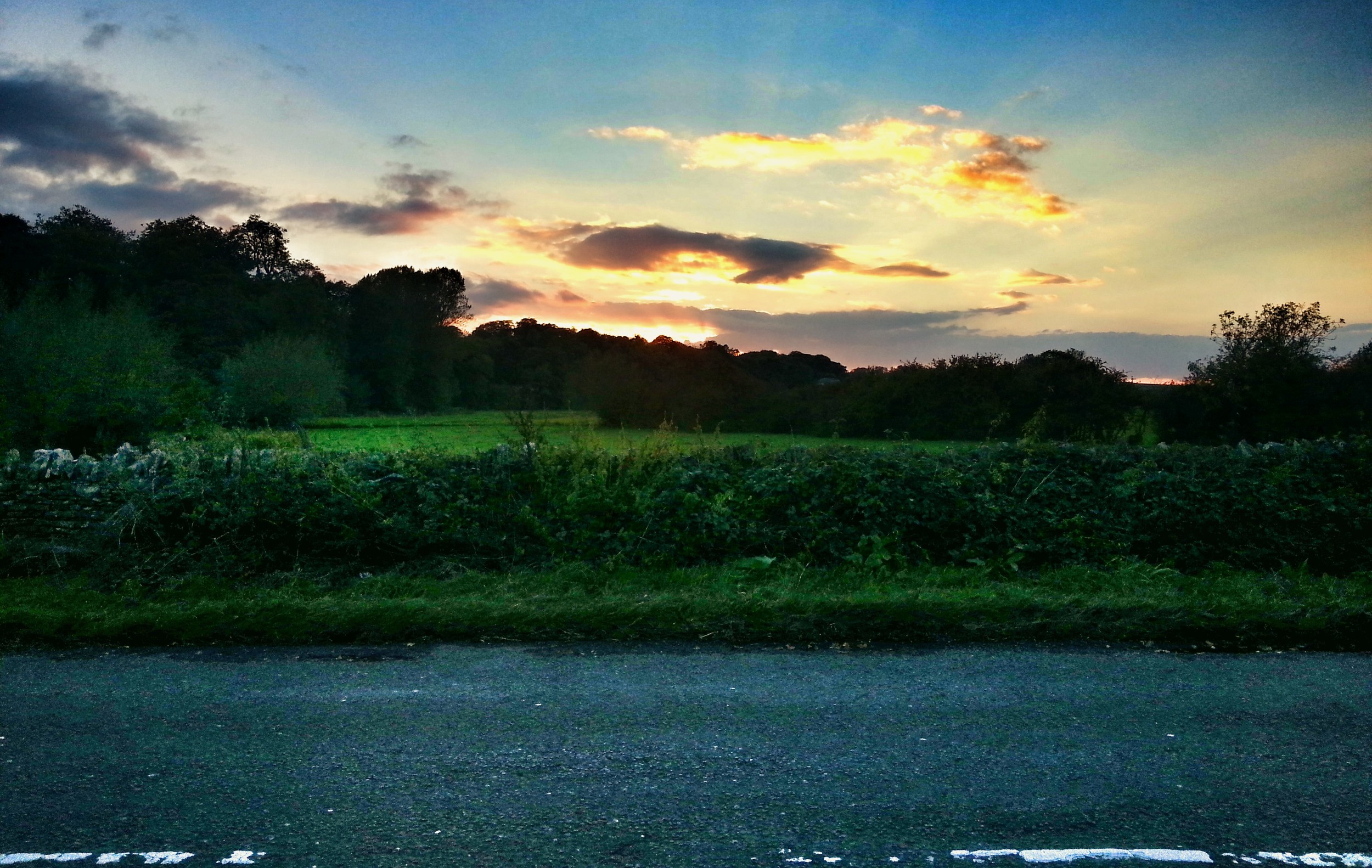 20141007_181344.jpg