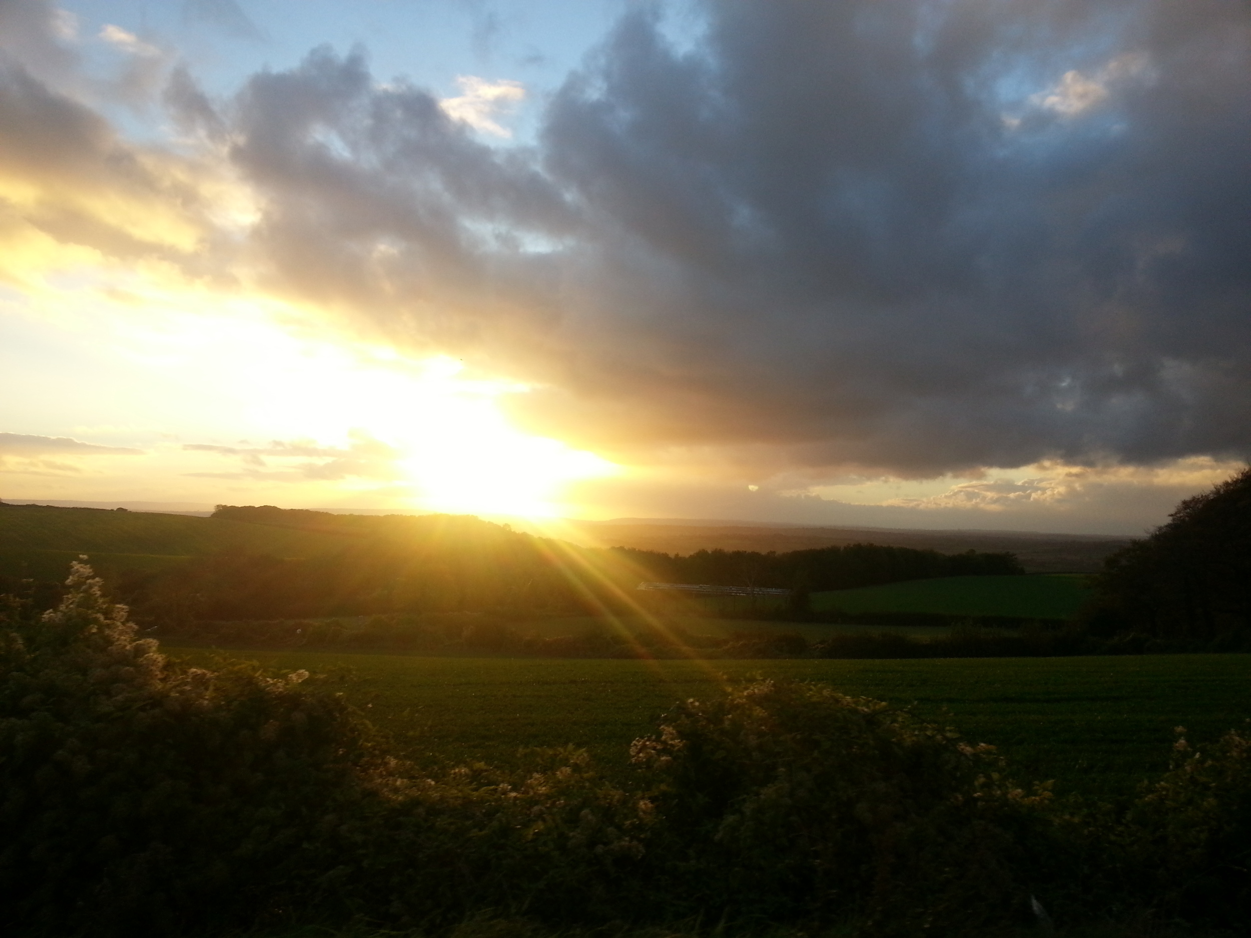 20141019_174656.jpg