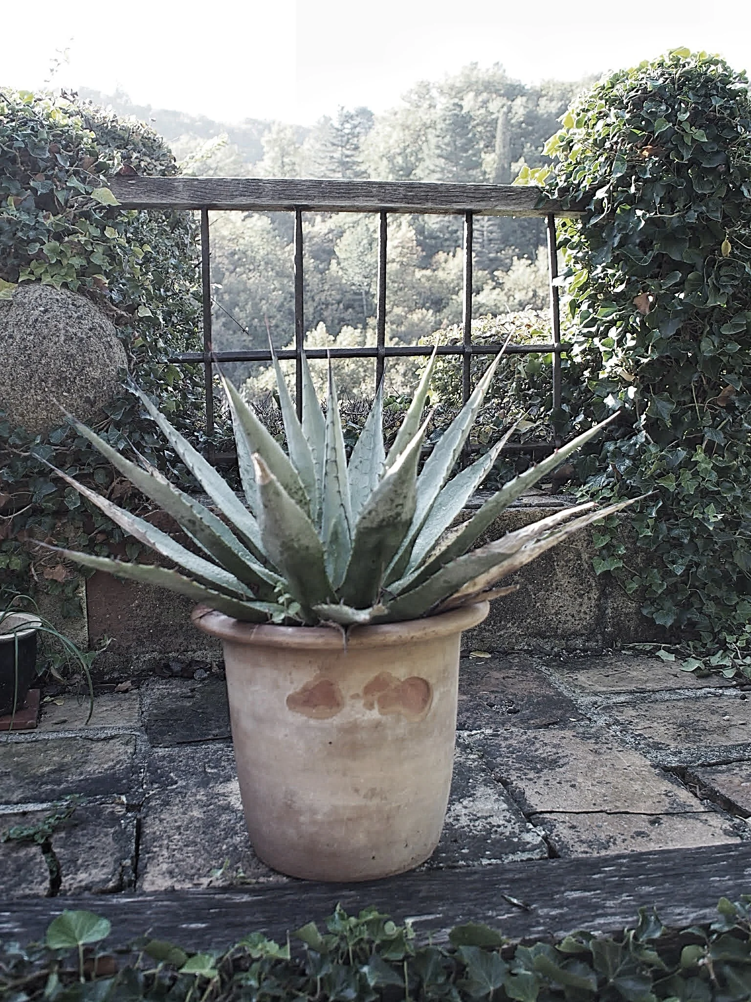 PB060025.JPG