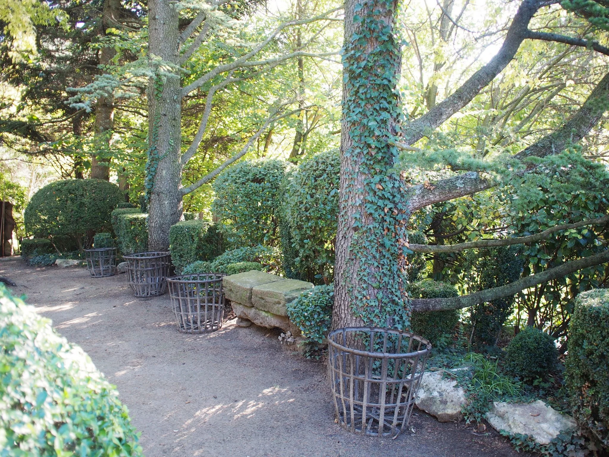 PB060057.JPG