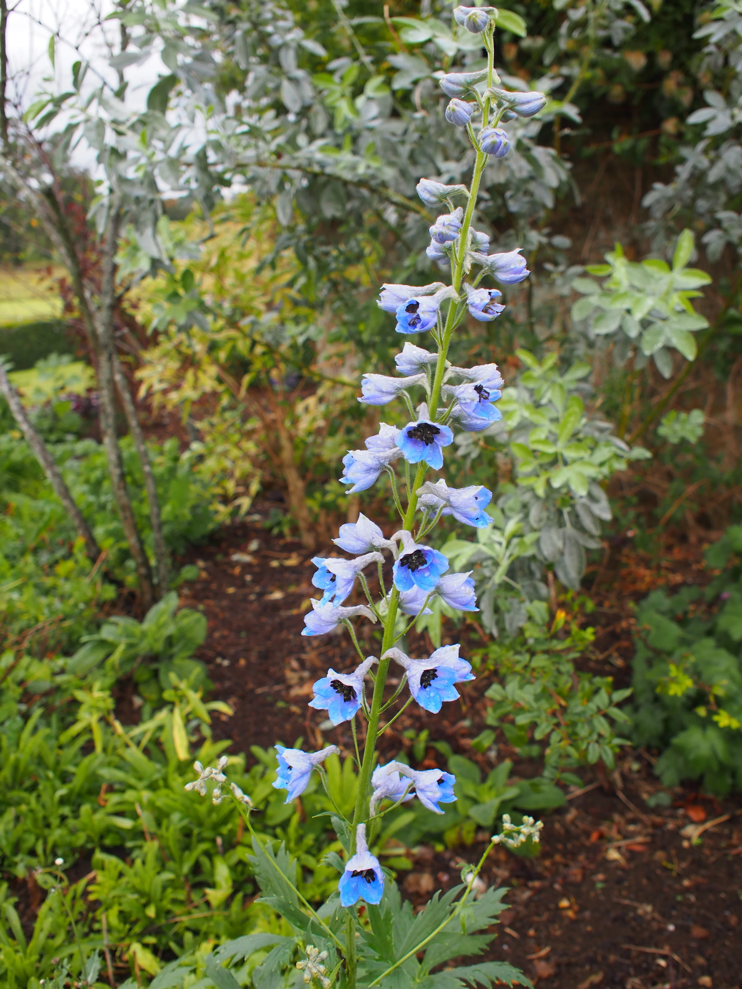 PA090119.JPG