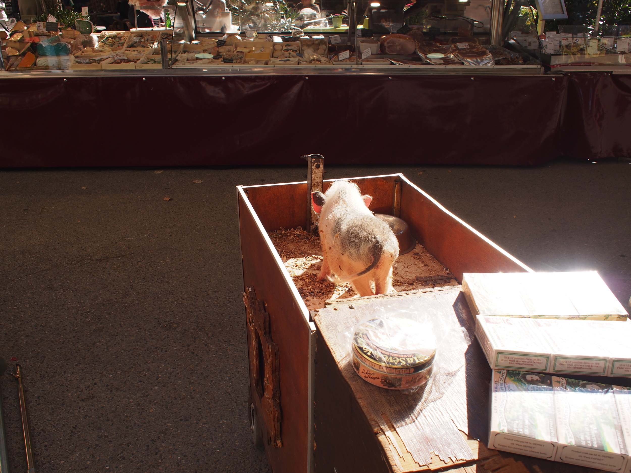 Lourmarin Market - Stacie loved this pig