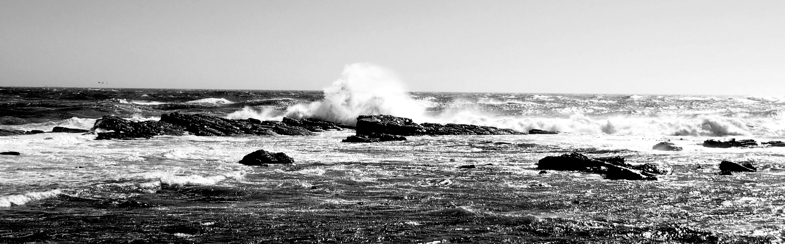 17mm - 1/3200 Sec - f 4.5 - ISO 200