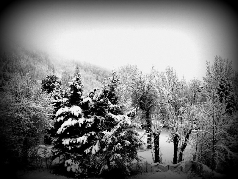 Fresh snow!
